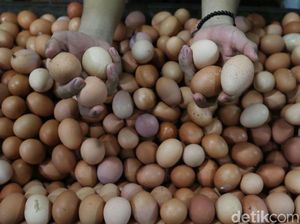 Harga Telur Betah di Rp 26.000/Kg