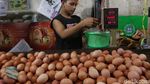 Harga Telur Betah di Rp 26.000/Kg