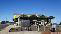 Tempat wisata unik di Australia Barat adalah Rottnest Island. Cara pergi ke sana dari dermaga feri B Shed di Fremantle (Masaul/detikcom)