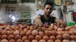 Harga Telur Betah di Rp 26.000/Kg