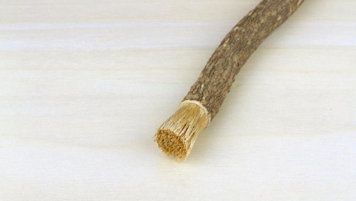 Ilustrasi siwak. Foto: iStock Ilustrasi siwak. Foto: iStock