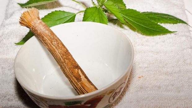 Toothbrush and old islamic traditional natural toothbrush Miswak (Salvadora persica) was used by the Babylonians some 7000 years ago and Greek, Roman empires and also by ancient Egyptians and Muslims