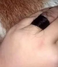 Pasangan dikritik karena cincin tunangan terbuat dari rambut si pria