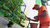 Pot-pot bunga juga dicat agar terlihat cantik.