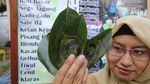Unik! Di Pasar Ini Warga Belanja Pakai Daun