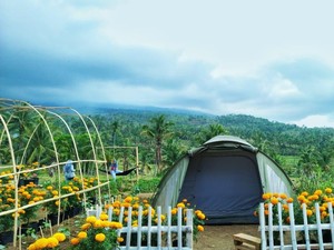 Lombok Timur Tetapkan 18 Desa Wisata, Apa Saja?