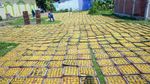 Produksi Kerupuk Meningkat Selama Ramadhan