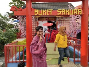 Bukit Sakura Kemiling, Rekomendasi Wisata ala Jepang di Lampung