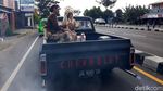 Unik Banget! Pasangan Ini Menikah di Mobil Bak Terbuka