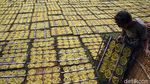 Produksi Kerupuk Meningkat Selama Ramadhan