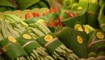 Supermarket Ini Ganti Bungkus Plastik Pakai Daun