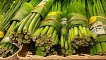 Supermarket Ini Ganti Bungkus Plastik Pakai Daun