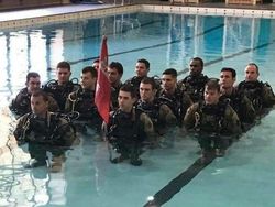 Deretan Foto yang Harus Dilihat Dua Kali Agar Mengerti