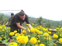 Lombok Timur Tetapkan 18 Desa Wisata Apa Saja Lombok Timur Tetapkan 18 Desa Wisata Apa Saja