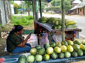 Krai, Buah Paling Dicari Selama Puasa di Banyuwangi