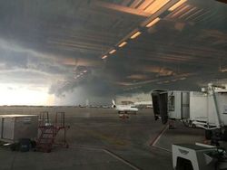 Deretan Foto yang Harus Dilihat Dua Kali Agar Mengerti