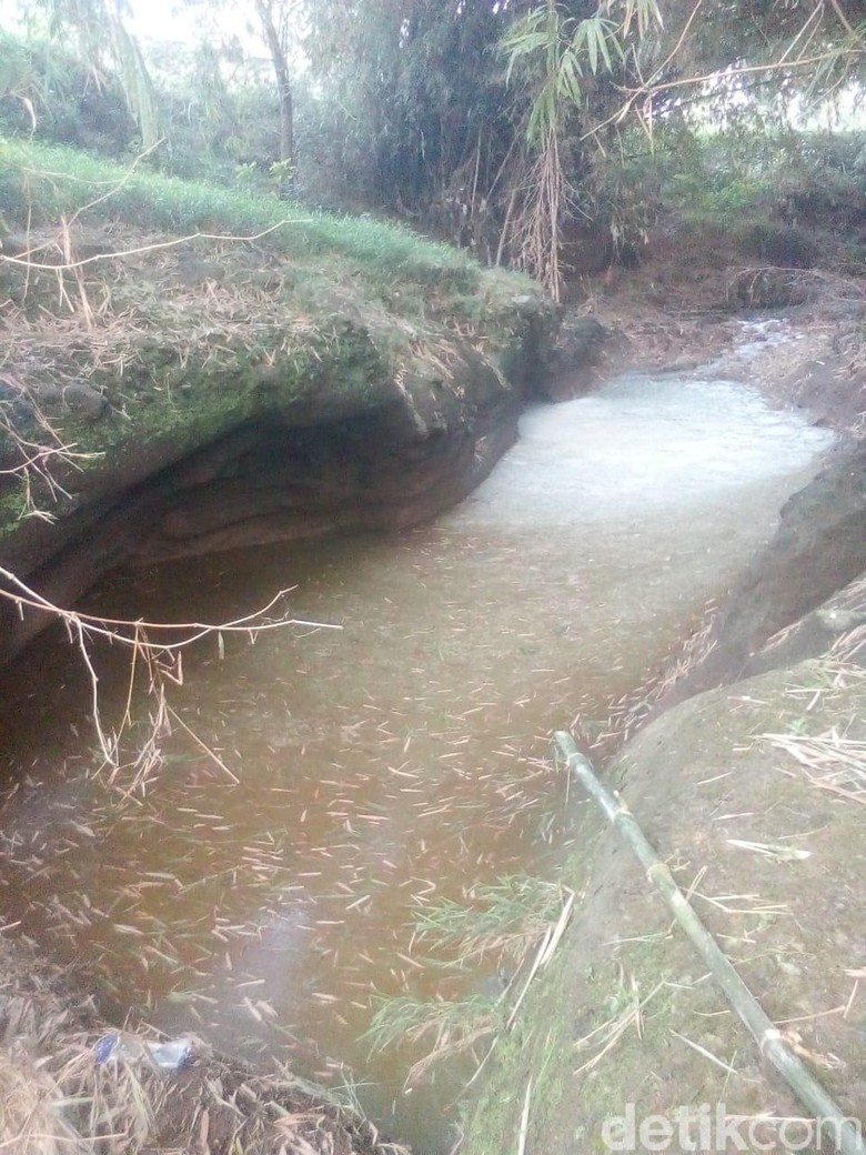 Tercemar Limbah Pabrik Tahu, Ribuan Ikan di Sungai Magetan Mati