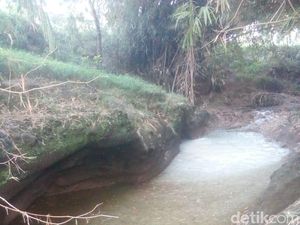 Tercemar Limbah Pabrik Tahu, Ribuan Ikan di Sungai Magetan Mati