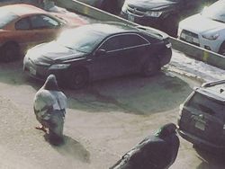 Deretan Foto yang Harus Dilihat Dua Kali Agar Mengerti