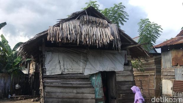 Hidup Prihatin Lansia di Polewali Mandar: Tinggal di Gubuk Nyaris Ambruk