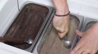 Perusahaan Ini Buat Es Krim Bukan Pakai Susu Tetapi Belatung