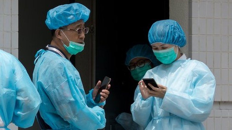 Kasus Flu Babi Afrika, Hong Kong Mulai Musnahkan 6 Ribu Babi Kasus Flu Babi Afrika, Hong Kong Mulai Musnahkan 6 Ribu Babi