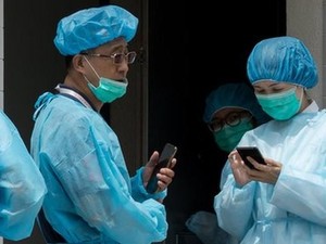 Kasus Flu Babi Afrika, Hong Kong Mulai Musnahkan 6 Ribu Babi