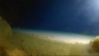 Kendaraan selam yang dipakai Vescovo ini berhasil menyelam hingga kedalaman 10.927 meter -- setara 11 kilometer -- di bawah permukaan air laut. Foto ini menunjukkan momen saat kendaraan selam mencapai dasar Palung Mariana. Foto: ATLANTIC PRODUCTIONS FOR DISCOVERY CHANNEL via Newsweek