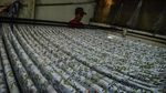 Berkah Ramadhan Bagi Industri Tekstil