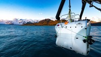 Nantinya temuan tersebut akan diteliti apakah berupa endapan kimia, amphopoda supergiant seperti udang, dan Holothurians yang tinggal di bawah, atau teripang. (Five Deeps Expedition)