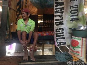 Hidup Prihatin Lansia di Polewali Mandar: Tinggal di Gubuk Nyaris Ambruk