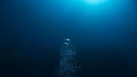 Misteri bagi para ilmuwan: Point Nemo merupakan misteri yang menarik untuk diteliti para ilmuwan. Salah satunya adalah bunyi bloop seperti gelombang pecah jauh di dalam lautannya. Ada yang bilang berasal dari ikan purba, tapi ada juga yang bilang bahwa itu berasal dari suara retakan gunung di dalam lautnya (Ilustrasi/iStock)
