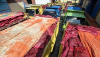 Tak hanya ditumbun di dalam tanah, ribuan karung bawang merah tersebut juga dimusnahkan dengan cara dibakar.