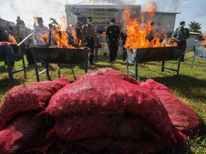 Video 70 Ton Bawang Ilegal Asal Thailand Dimusnahkan di Lhokseumawe
