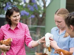 Sekolah Indonesia Seharusnya Miliki Kurikulum Pertanian Seperti di Australia