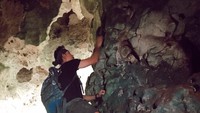Untuk bertahan hidup, kedua host pun minum air dari akar pohon (dok MTMA) 