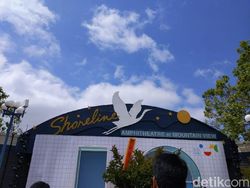 Potret San Francisco dalam Bidikan Pixel 3a XL
