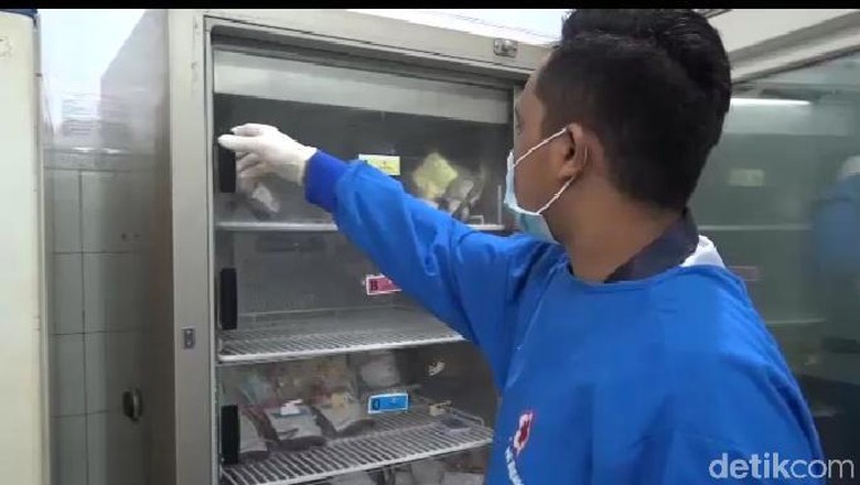 Stok Darah di PMI Sultra Menipis Stok Darah di PMI Sultra Menipis