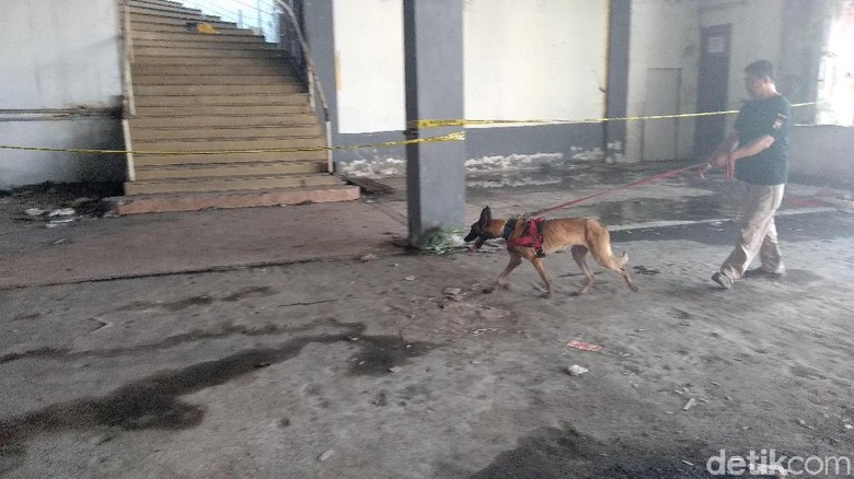 Anjing Pelacak Dikerahkan Cari Petunjuk Baru Mutilasi Pasar Besar Malang Anjing Pelacak Dikerahkan Cari Petunjuk Baru Mutilasi Pasar Besar Malang