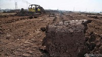 Gugatan PT Buana Permata Hijau pun dikabulkan oleh pengadilan. Damianus pun mengatakan dengan dikabulkannya gugatan tersebut maka sertifikat hak pakai 314/315 atas nama Pemda DKI Jakarta dibatalkan.