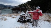 Dulunya Desa Nagoro adalah desa yang ramai dengan jumlah penduduk sekitar 300 orang. Namun setelah Perang Dunia II, sekitar tahun 1960-an para anak muda mulai merantau ke Tokyo, karena ekonomi dan industri sedang berkembang di Tokyo. Karena itulah desa menjadi sepi. (AFP/Kazuhiro Nogi)