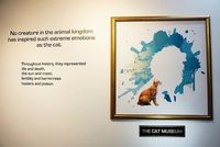 Meong! Ternyata Singapura Punya Museum Kucing