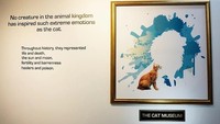 Tren kafe kucing dan sejenisnya memang bukan barang baru, tapi bagaimana dengan Museum Kucing? Kamu tidak salah baca. Ternyata sungguh ada Museum Kucing atau Cat Museum di Singapura (thecatmuseum.com.sg)