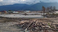 Kayu-kayu yang sebelumnya terbawa tsunami juga masih dibiarkan begitu saja. (Istimewa)
