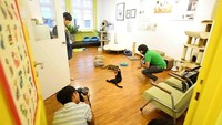 Jangan lupa untuk bermain dan berinteraksi langsung dengan kucing penghuni museum (thecatmuseum.com.sg)