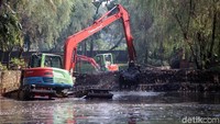 Petugas juga mengeruk lumpur yang ada di setu di dalam taman.