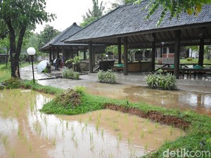 Kampung Nirwana: Nikmatnya Liwetan Komplet Plus Panorama Pedesaan Asri