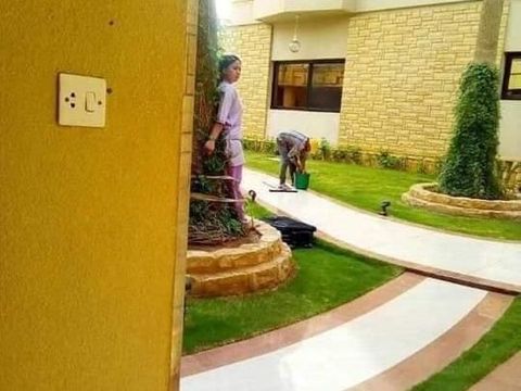 Viral, Keluarga Kaya di Arab Hukum ART dengan Mengikatnya di Pohon