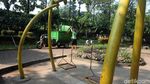 Perawatan Taman Dadap Merah