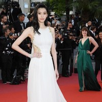 Ming Xi memulai kariernya sebagai model fashion pada Oktober 2009. Ia mewakili China di ajang pencarian model Elite Model Look dan mendapat juara tiga. Dari sana, jalannya sebagai model terbuka, ia pun membintangi label fashion besar seperti Dior, Vivienne Westwood dan juga Victorias Secret. Foto: Getty Images